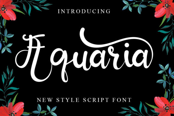 Aquaria: A Modern Script Font for Web Design