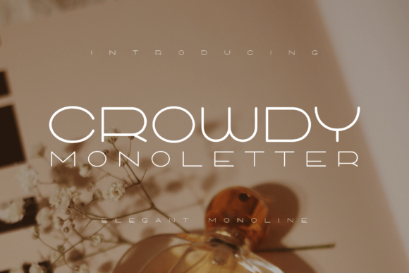 Crowdy Monoletter: A Clean Typeface for Branding