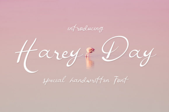 Harey Day Font Review for Campaign Designers