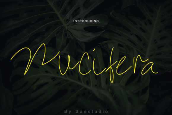 Nucifera: An Elegant Script Font for Editorial Design