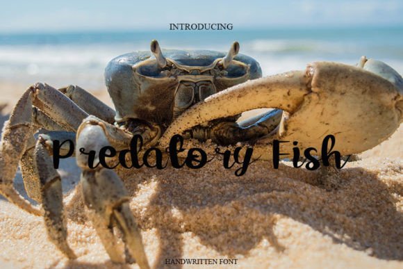 Predatory Fish: A Handwritten Font for Web Design