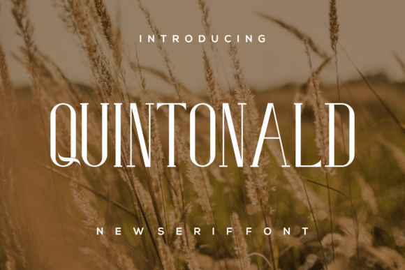 Quintonald Font: Elevate Your Handmade Brand