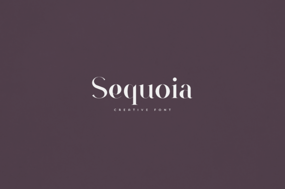 Sequoia: A Serif Typeface for Editorial Calm