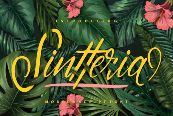 Sintteria: The Handwritten Font for Scroll-Stopping Content