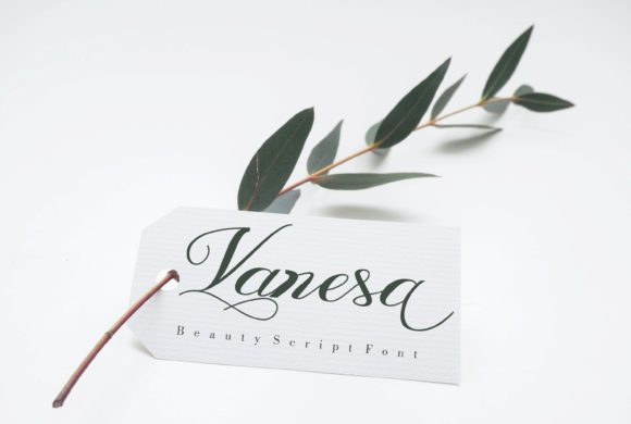 Vanesa Font: A Web Designer’s Review
