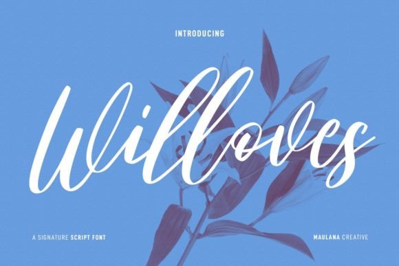 Willoves: A Graceful Script Font for Editorial Design
