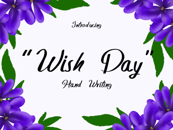 Wish Day: A Designer’s Honest Review